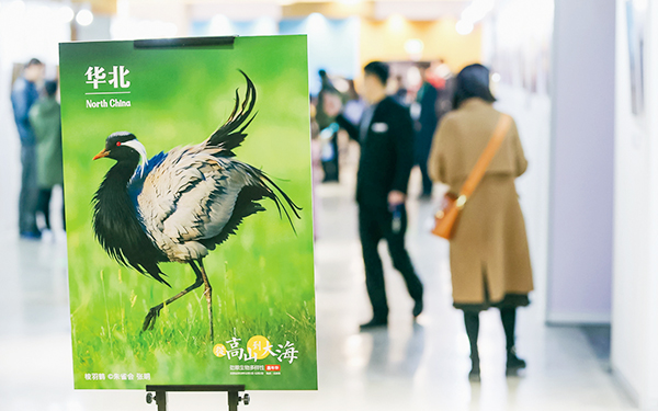 2018年12月1日“劲草生物多样性嘉年华2018北京站”